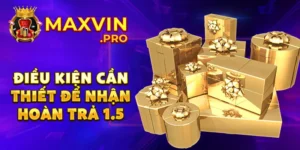 Điều kiện cần thiết để nhận hoàn trả 1.5